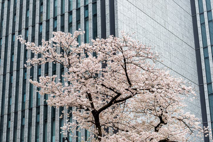 Impact growth in Japan
