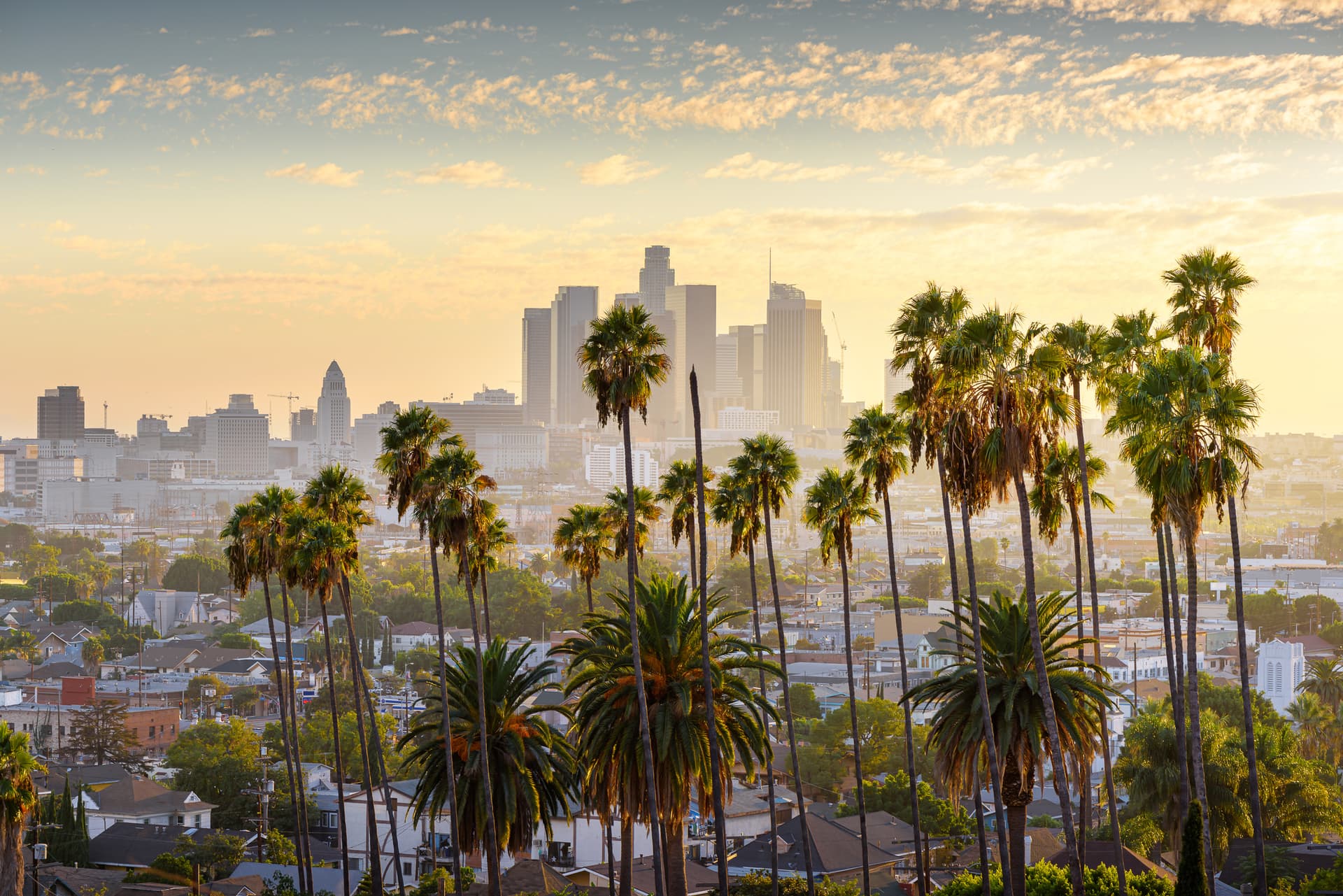 LA