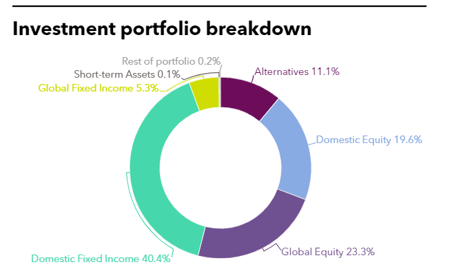 Investment portfolio breakdown of NPS