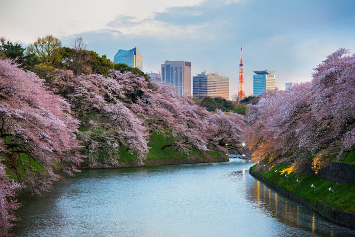 Japan Tokyo