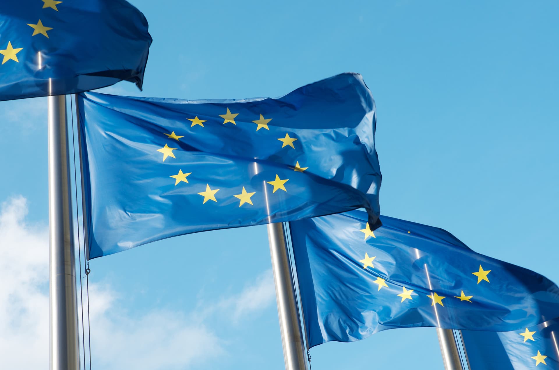 European Union flags