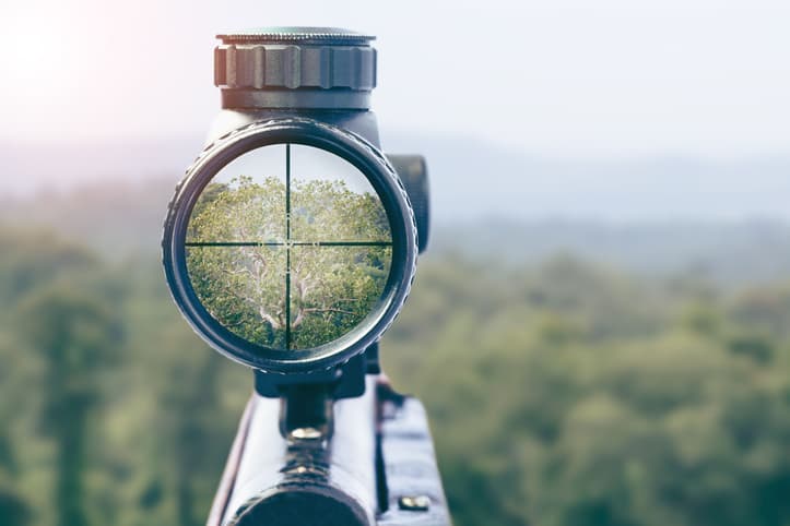 Photo of a rifle focusing on the nature background.