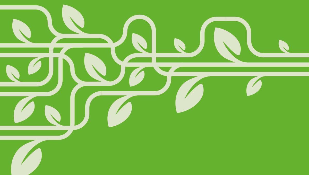 image of vine leaves