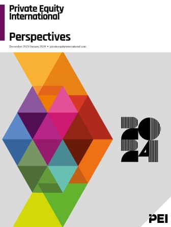 PEI Perspectives 2024