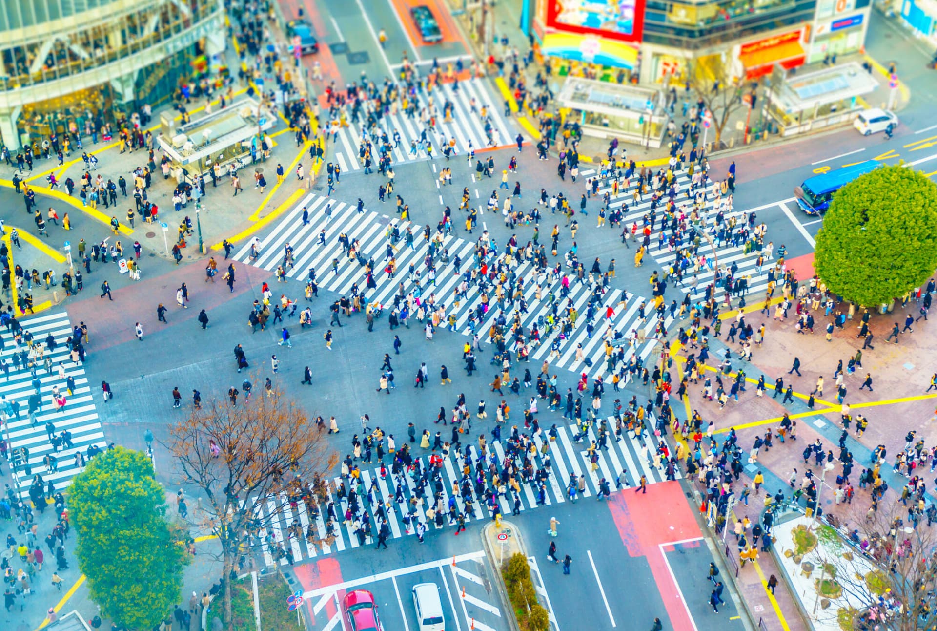 A bird's eye view of Shibuya Crossing in Tokyo, Japan