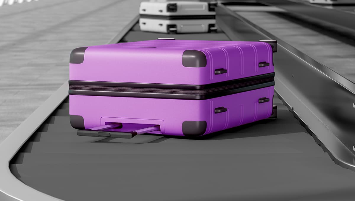 PEI 300 suitcases