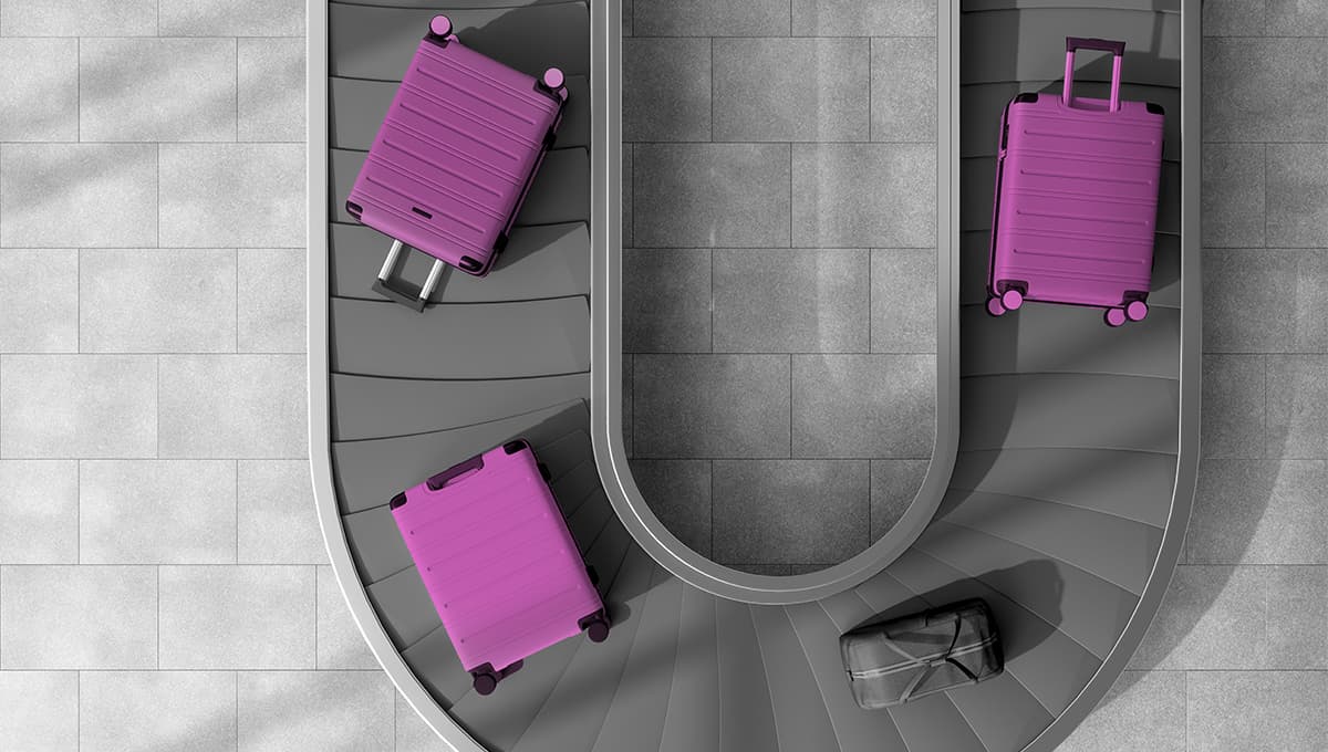 PEI 300 suitcases