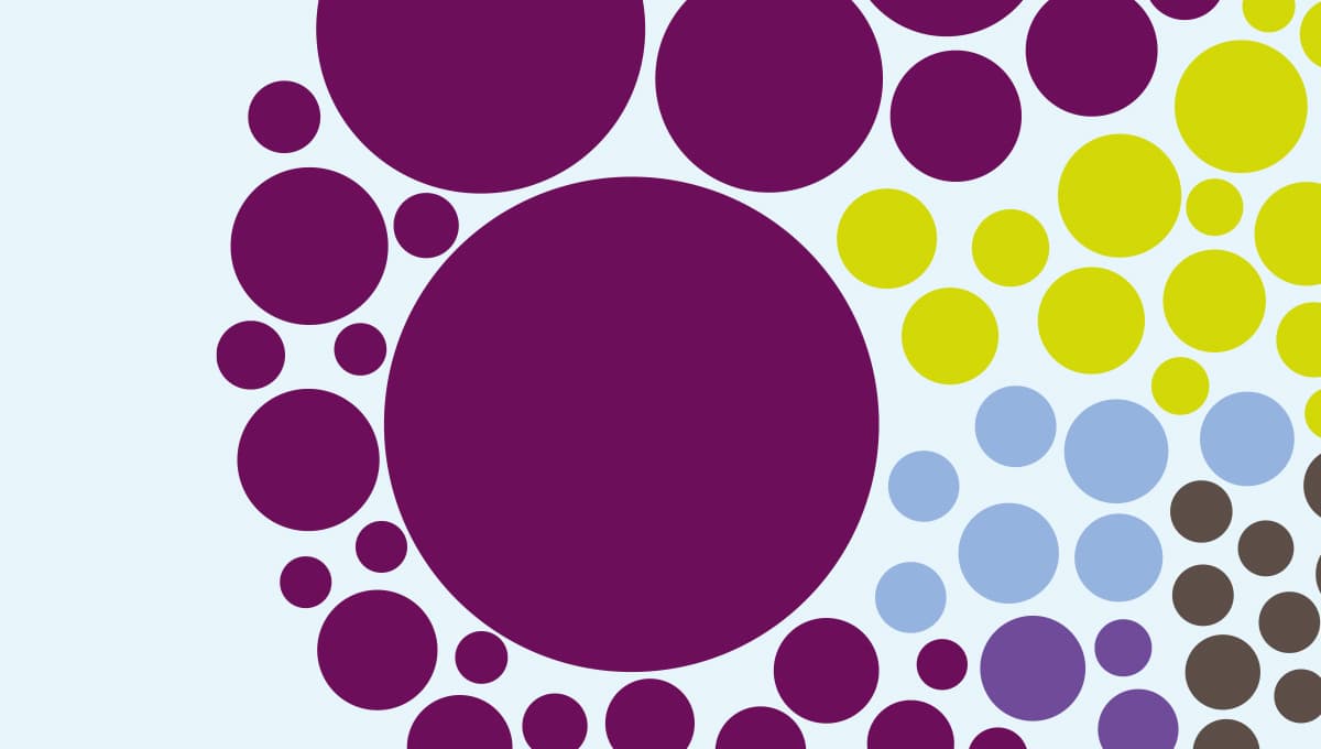 Coloured circles representing the amounts invested by the Global Investor 150