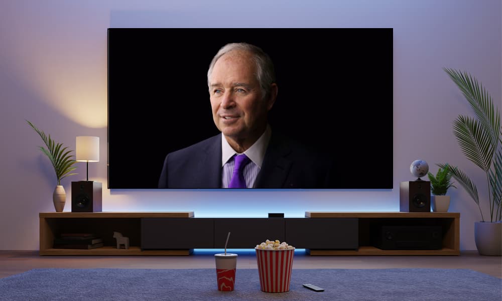 Stephen Schwarzman on television