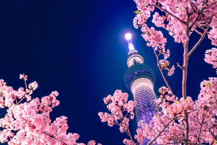 Tokyo skyline