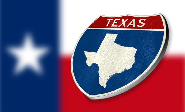 Image of a Texas state badge.