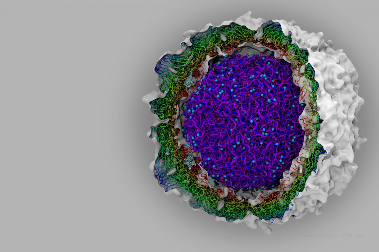 Feature image