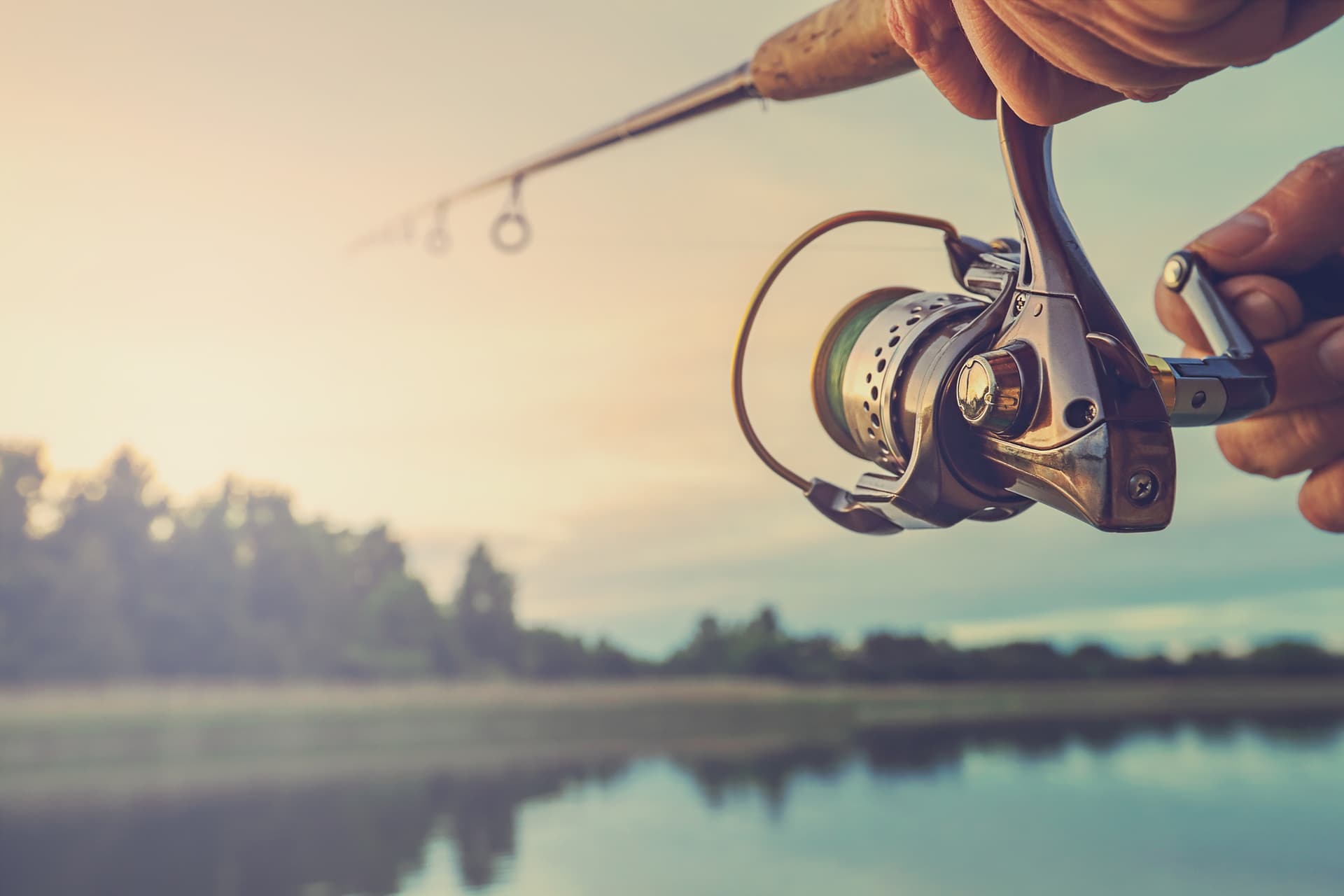 fishing reel
