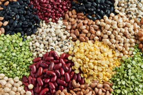 photo of legumes