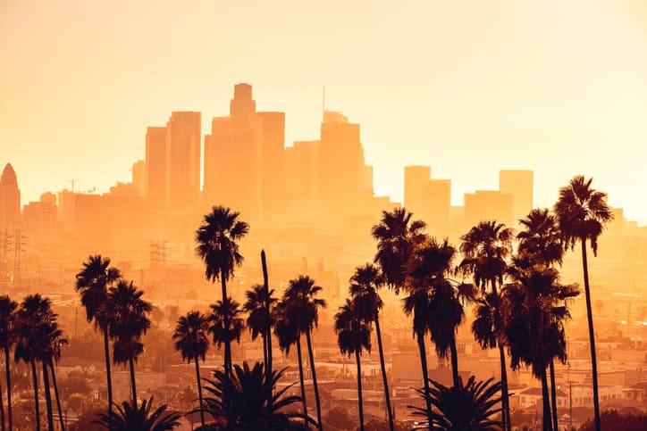Los Angeles Cityscape Palm Trees