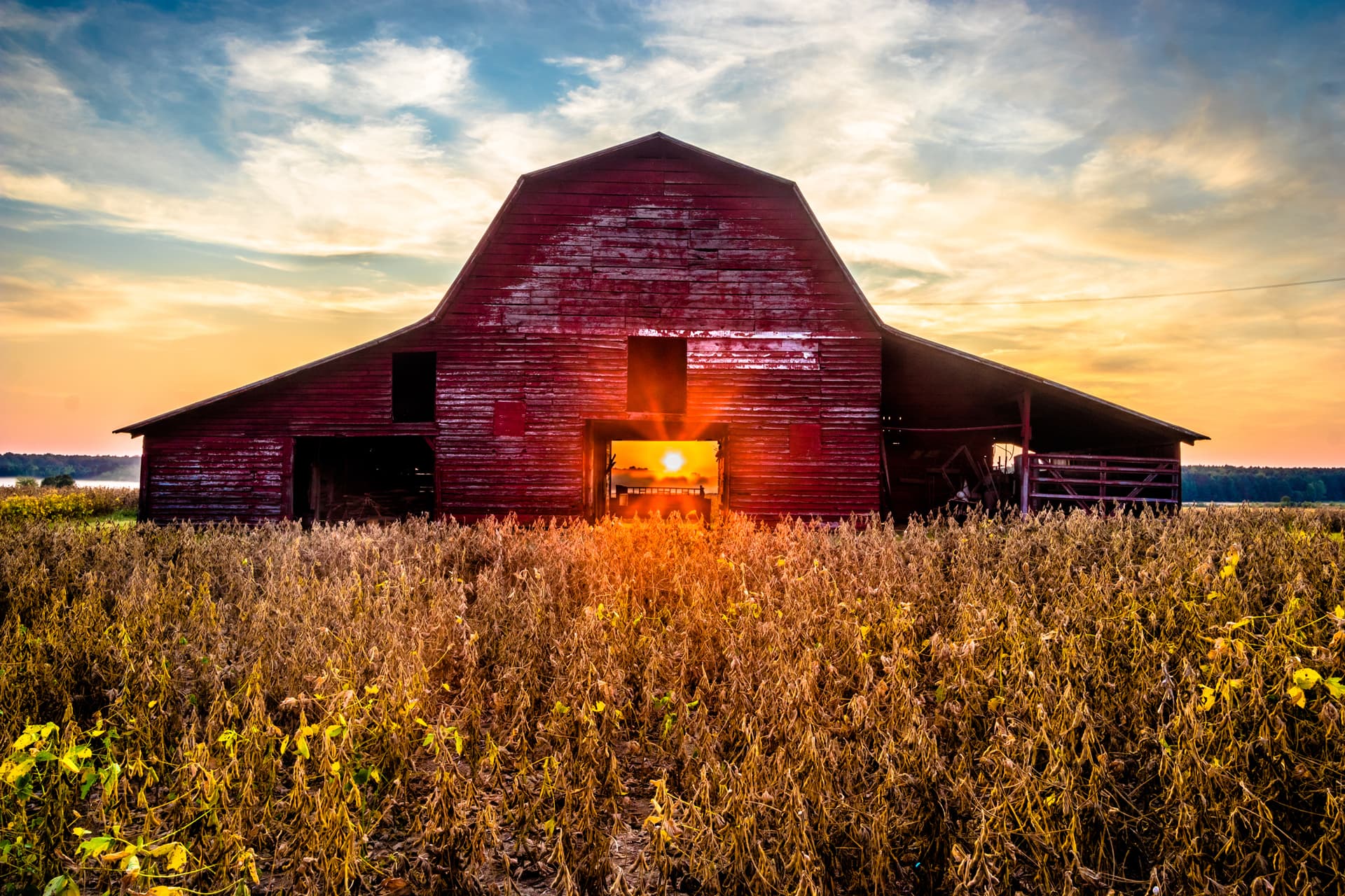 Mississippi Farm