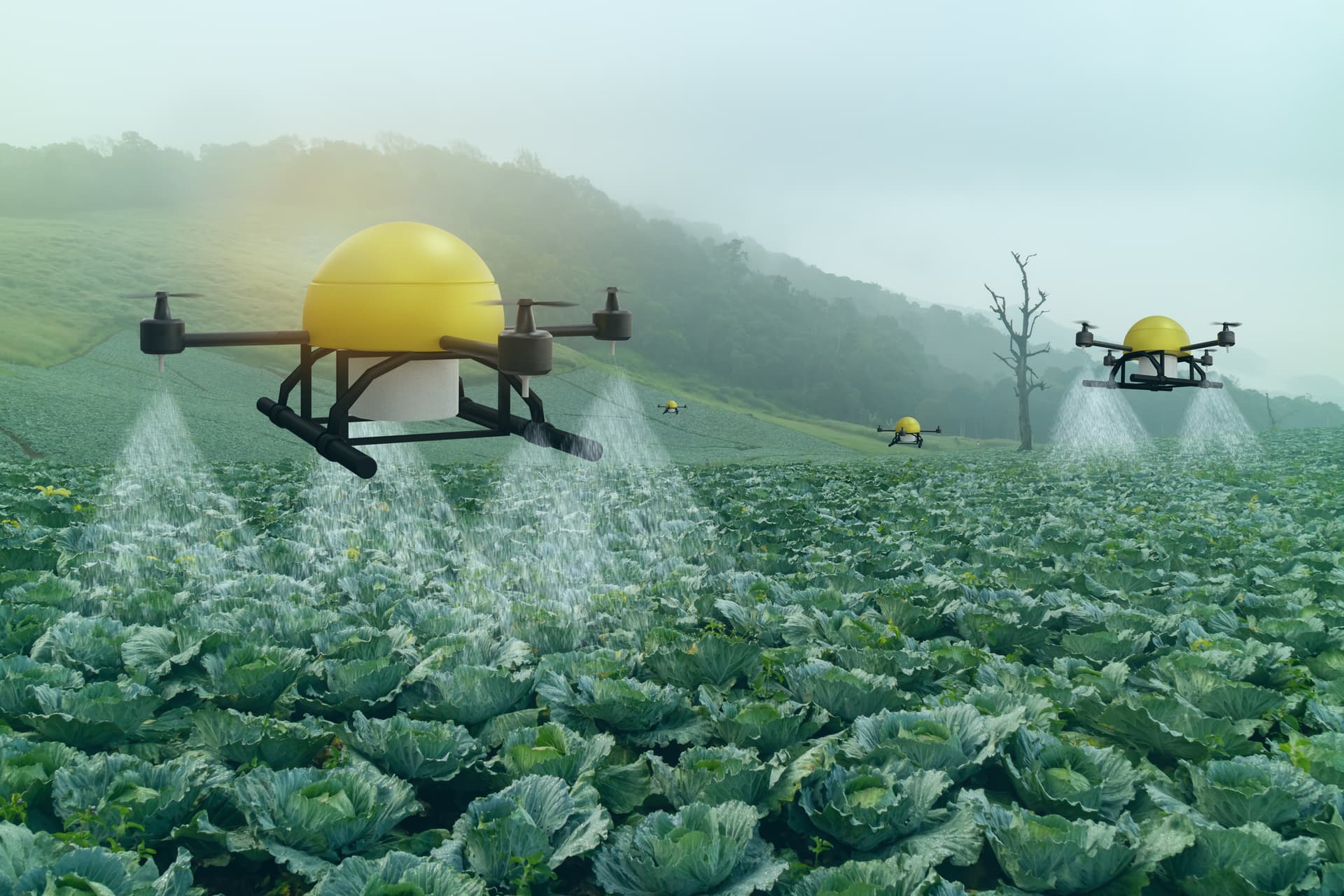 Drones applying inputs to crops
